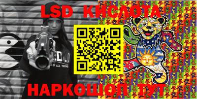 амф Сланцы