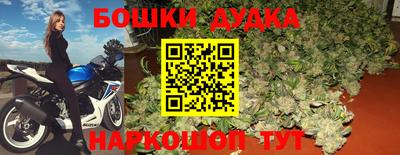 амф Сланцы