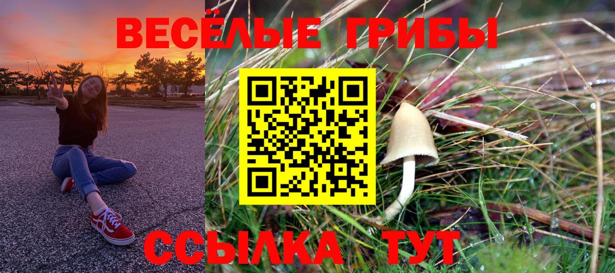 Псилоцибиновые грибы GOLDEN TEACHER  Галлюциногенные грибы Psilocybe  Вход с VPN  Балашиха 
