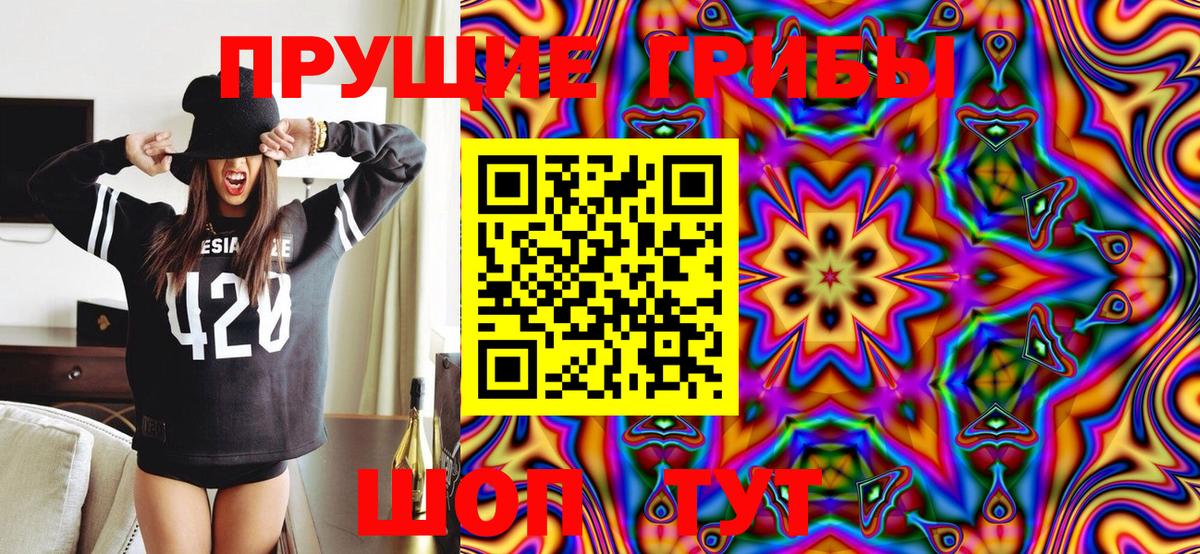 Псилоцибиновые грибы Psilocybine cubensis Балашиха